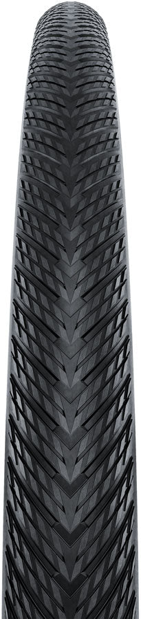 Continental Terra Competition (E25, Rapid, Race)