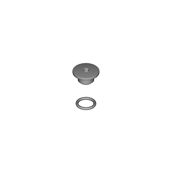 Shimano Bleed Screw + O-Ring